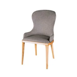 Chic Upholstered Accent Chair